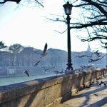 Verona Unveiled: Your Complete Travel Guide to Italy's Enchanting City of Love and History