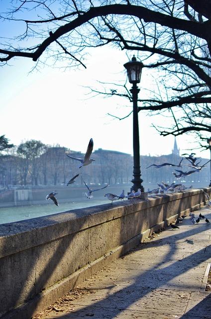 Verona Unveiled: Your Complete Travel Guide to Italy's Enchanting City of Love and History